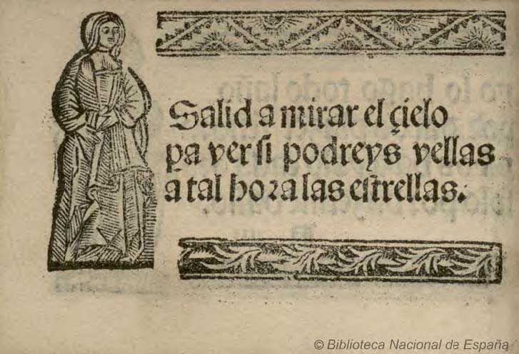 N5 Dama